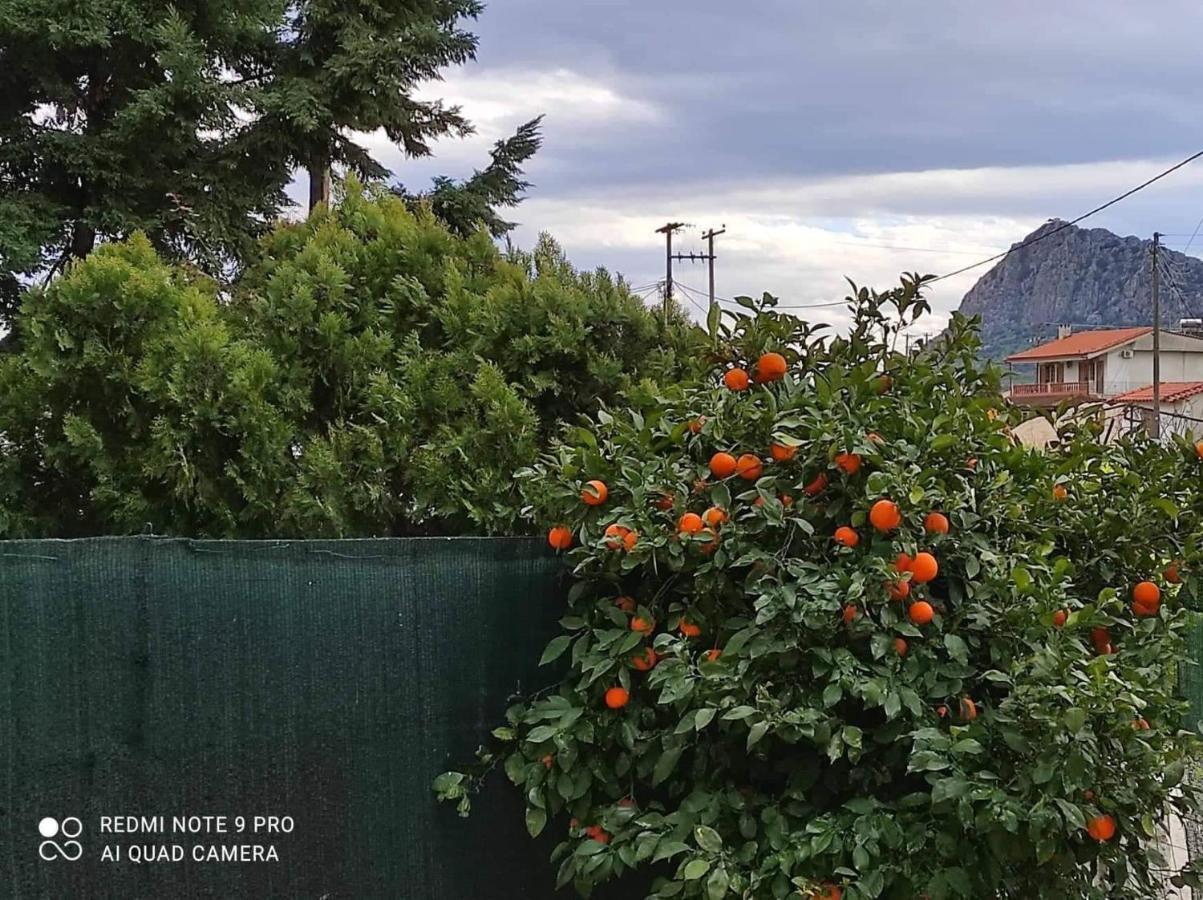 Nafplio Breeze Άνετη Διώροφη Κατοικία Από 4 Έως 9 Επισκέπτες Екстериор снимка